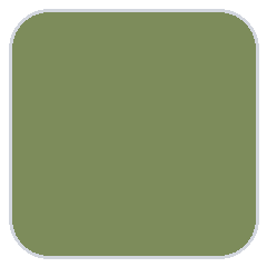 army